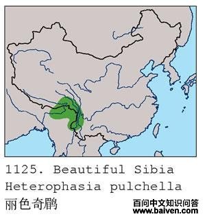 ��ɫ���̵ĵ����ֲ�ͼ