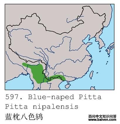 ������ɫ�ĵ����ֲ�ͼ