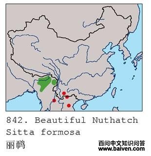 �����ĵ����ֲ�ͼ