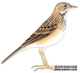 �����ҵ�ͼ��