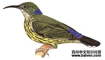 �����������ͼ��