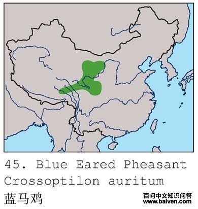 �������ĵ����ֲ�ͼ