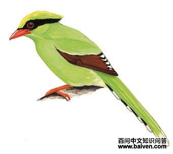 ����ȵ��ͼ��