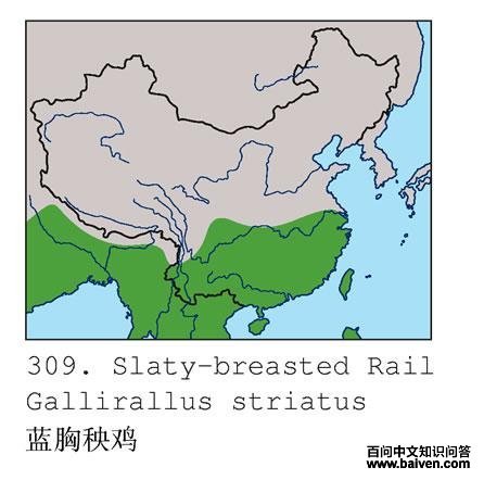 ���������ĵ����ֲ�ͼ