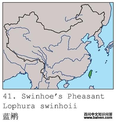 ���µĵ����ֲ�ͼ