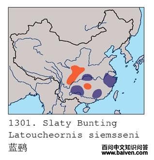 ���c�ĵ����ֲ�ͼ