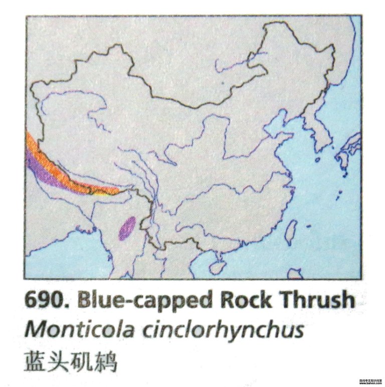 ��ͷ���ĵ����ֲ�ͼ