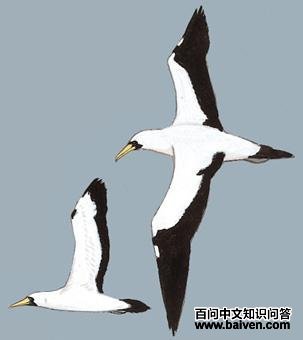 ���������ͼ��