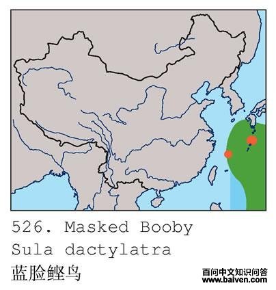 ��������ĵ����ֲ�ͼ