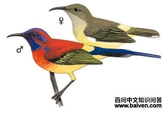 ����̫�����ͼ��