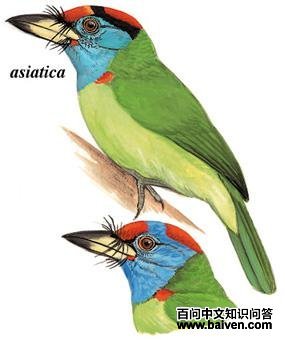 ��������ľ���ͼ��