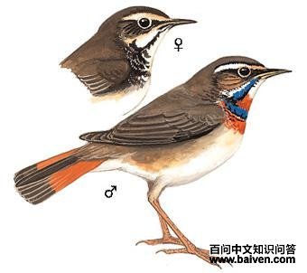 �������[�����]��ͼ��