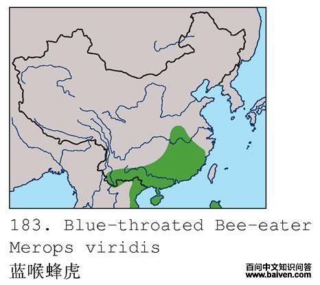 �����仢�ĵ����ֲ�ͼ