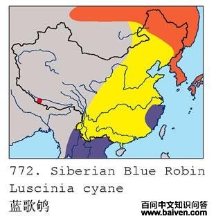 �����ĵ����ֲ�ͼ