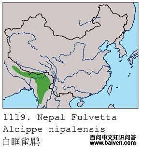 �׿�ȸ�̵ĵ����ֲ�ͼ