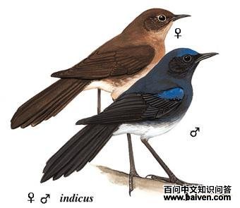 ����[����]����ͼ��