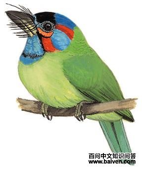 ��������ľ���ͼ��