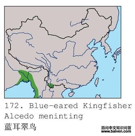 ��������ĵ����ֲ�ͼ