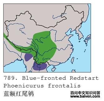 �����β�ĵ����ֲ�ͼ