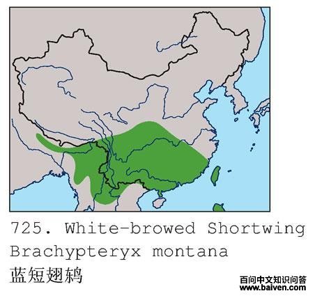 ���̳��ĵ����ֲ�ͼ