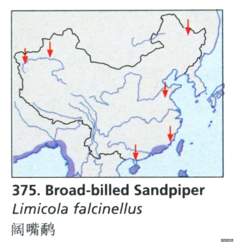 �����ֵĵ����ֲ�ͼ