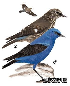 �������ͼ��