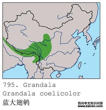 ������ĵ����ֲ�ͼ