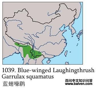 �������̵ĵ����ֲ�ͼ