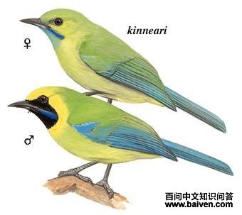 ����Ҷ�ǵ�ͼ��