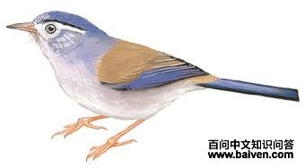 ����ϣ�̵�ͼ��