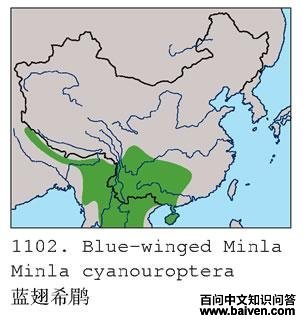 ����ϣ�̵ĵ����ֲ�ͼ