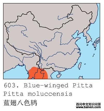 �����ɫ�ĵ����ֲ�ͼ