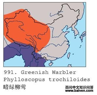 ������ݺ�ĵ����ֲ�ͼ