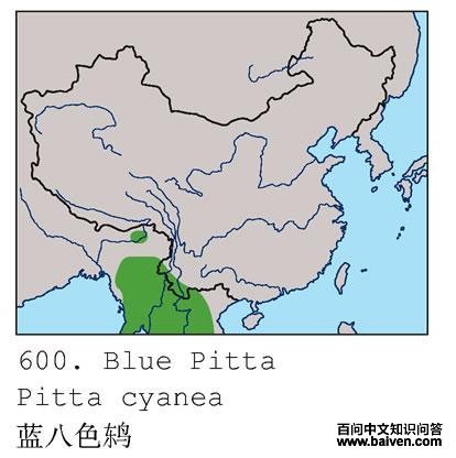 ����ɫ�ĵ����ֲ�ͼ