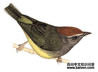 �����lݺ��ͼ��