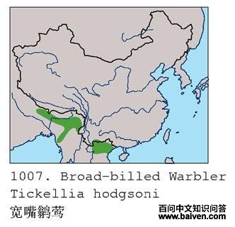 �����lݺ�ĵ����ֲ�ͼ