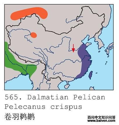 �������ɵĵ����ֲ�ͼ