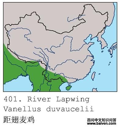 ����󼦵ĵ����ֲ�ͼ