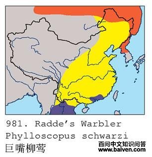 ������ݺ�ĵ����ֲ�ͼ