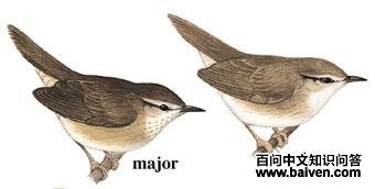 ����̳�ݺ��ͼ��