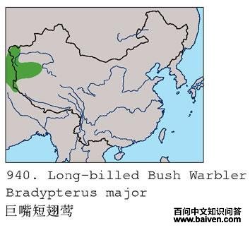 ����̳�ݺ�ĵ����ֲ�ͼ