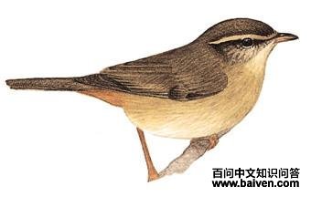 ������ݺ��ͼ��