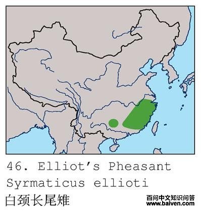 �׾���β���ĵ����ֲ�ͼ