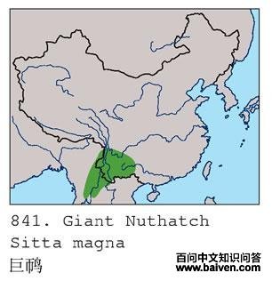 �����ĵ����ֲ�ͼ