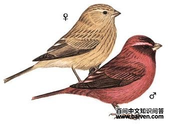 �ƺ���ȸ��ͼ��