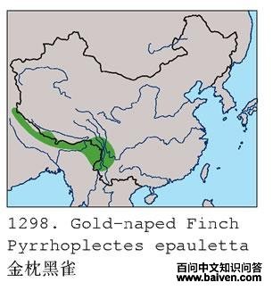 ������ȸ�ĵ����ֲ�ͼ