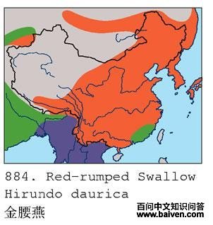 ������ĵ����ֲ�ͼ