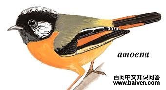 ����ȸ�̵�ͼ��