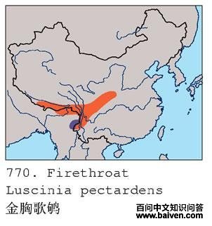 ���ظ��ĵ����ֲ�ͼ