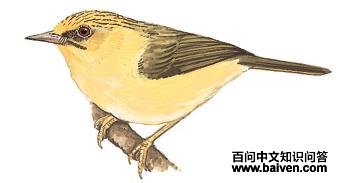 ��ͷ���̵�ͼ��